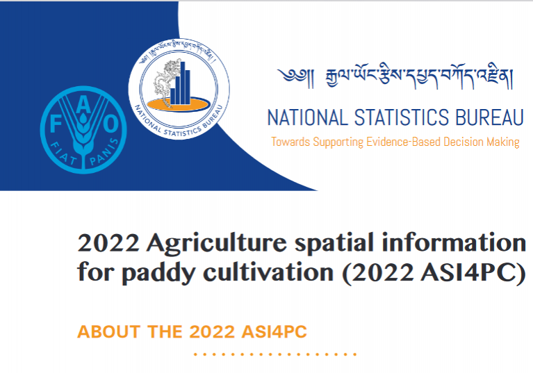 paddy cover page